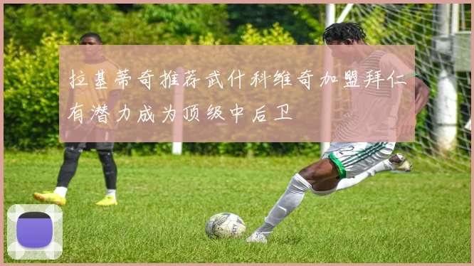 拉基蒂奇推荐武什科维奇加盟拜仁有潜力成为顶级中后卫