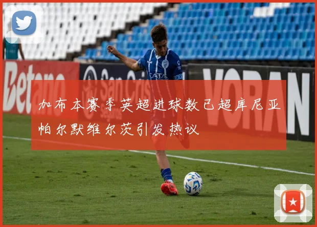 加布本赛季英超进球数已超库尼亚帕尔默维尔茨引发热议