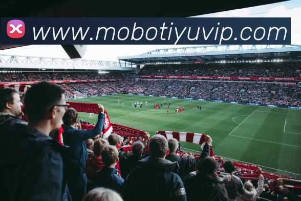 摩博体育APP 封面图